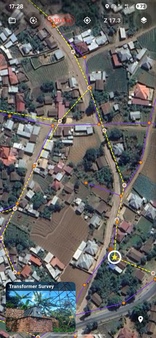 DS Field survey capture